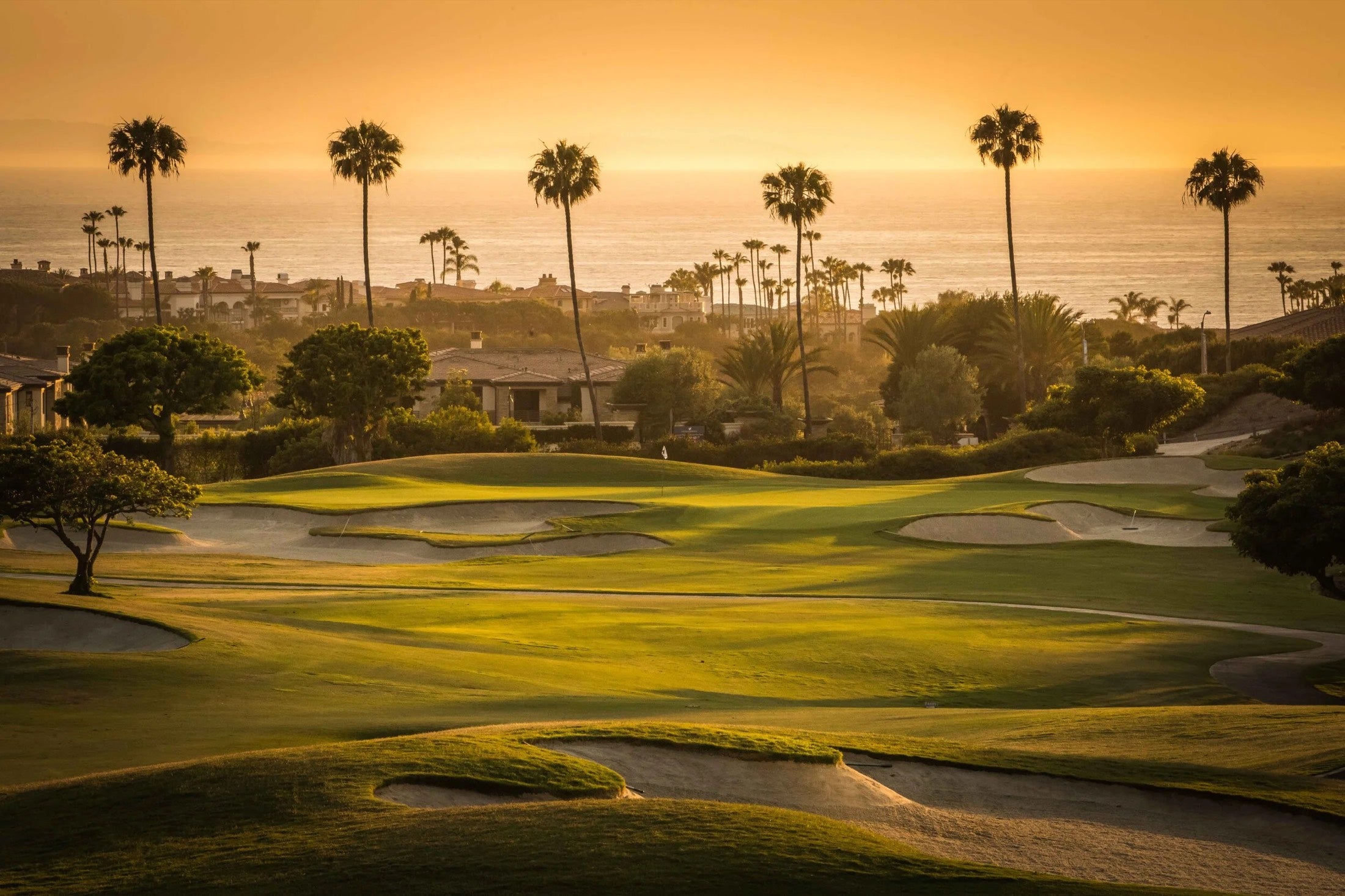 California golf course at golden hour